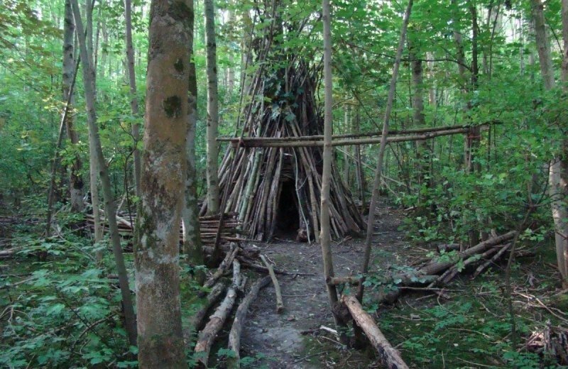 Beleefpad Knokkertbos