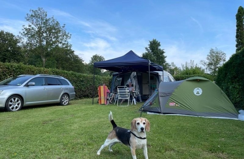 Kamperen met hond bij de oosterschelde in zeeland