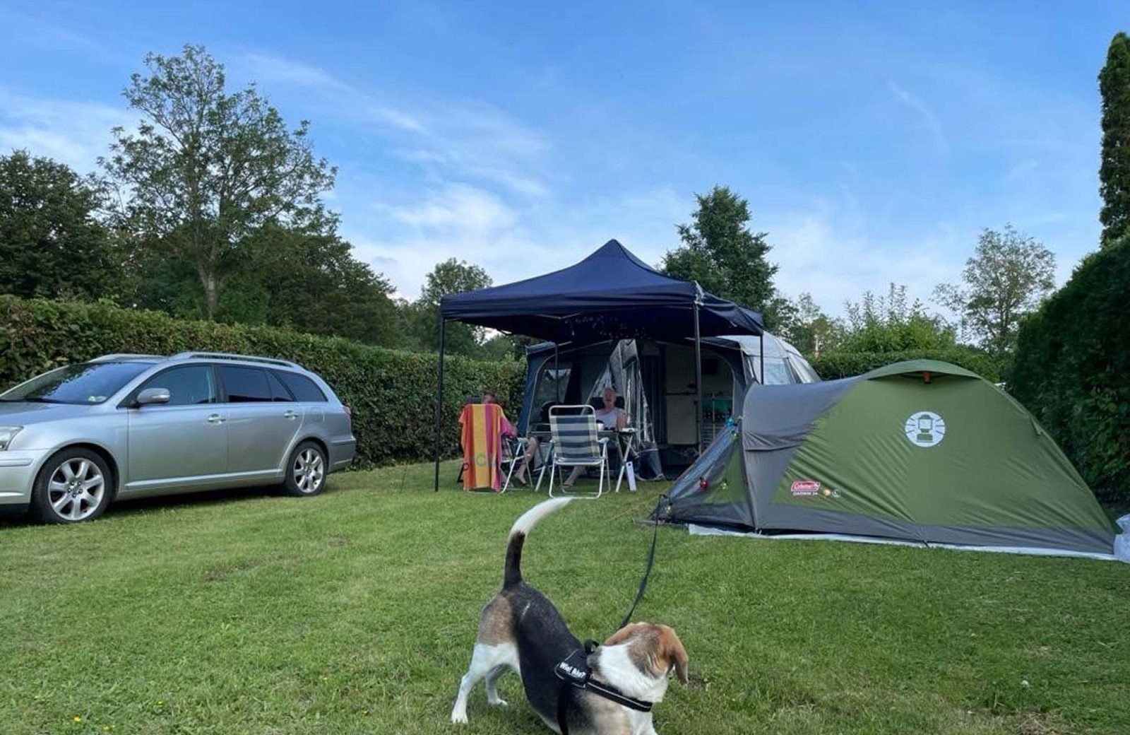 Kamperen met hond in Zeeland