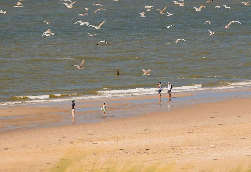 strand zeeland omgeving